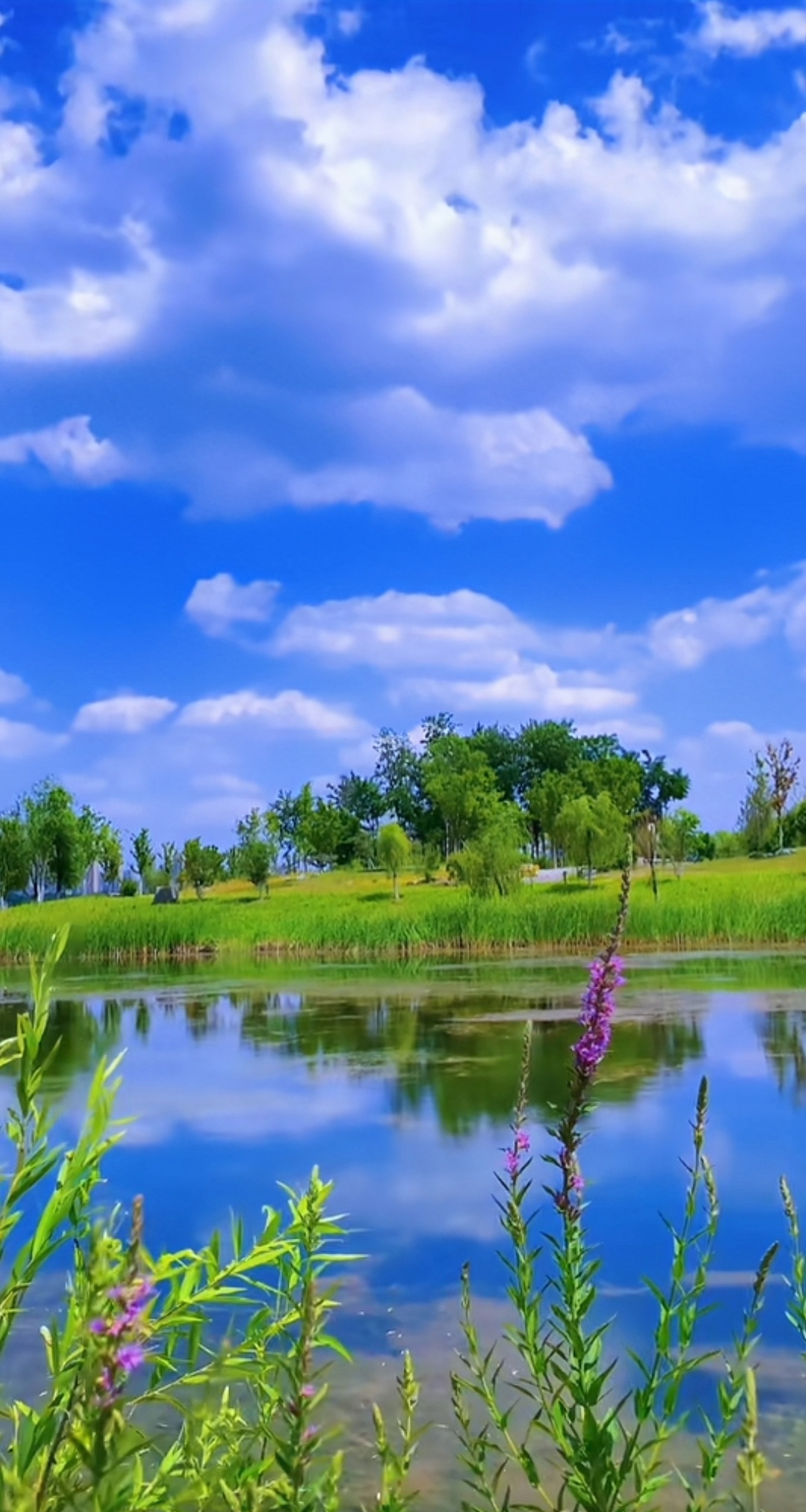 蓝天白云好风景