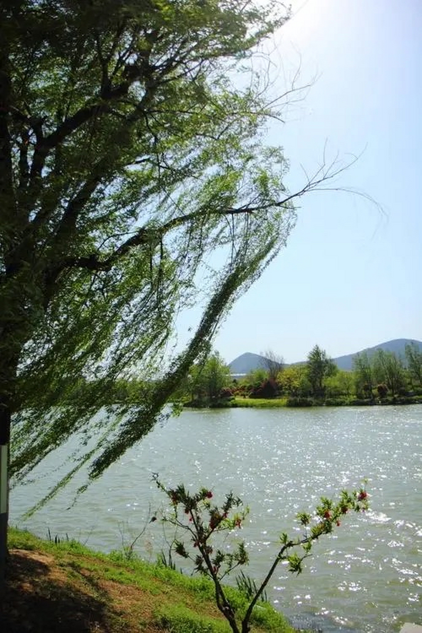 【上联】和风拂杨柳 【下联】……友请赐教 039297969091