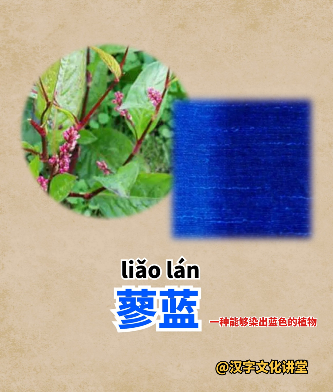 蓝,是一种能提取蓝色染料的植物,名蓼蓝.