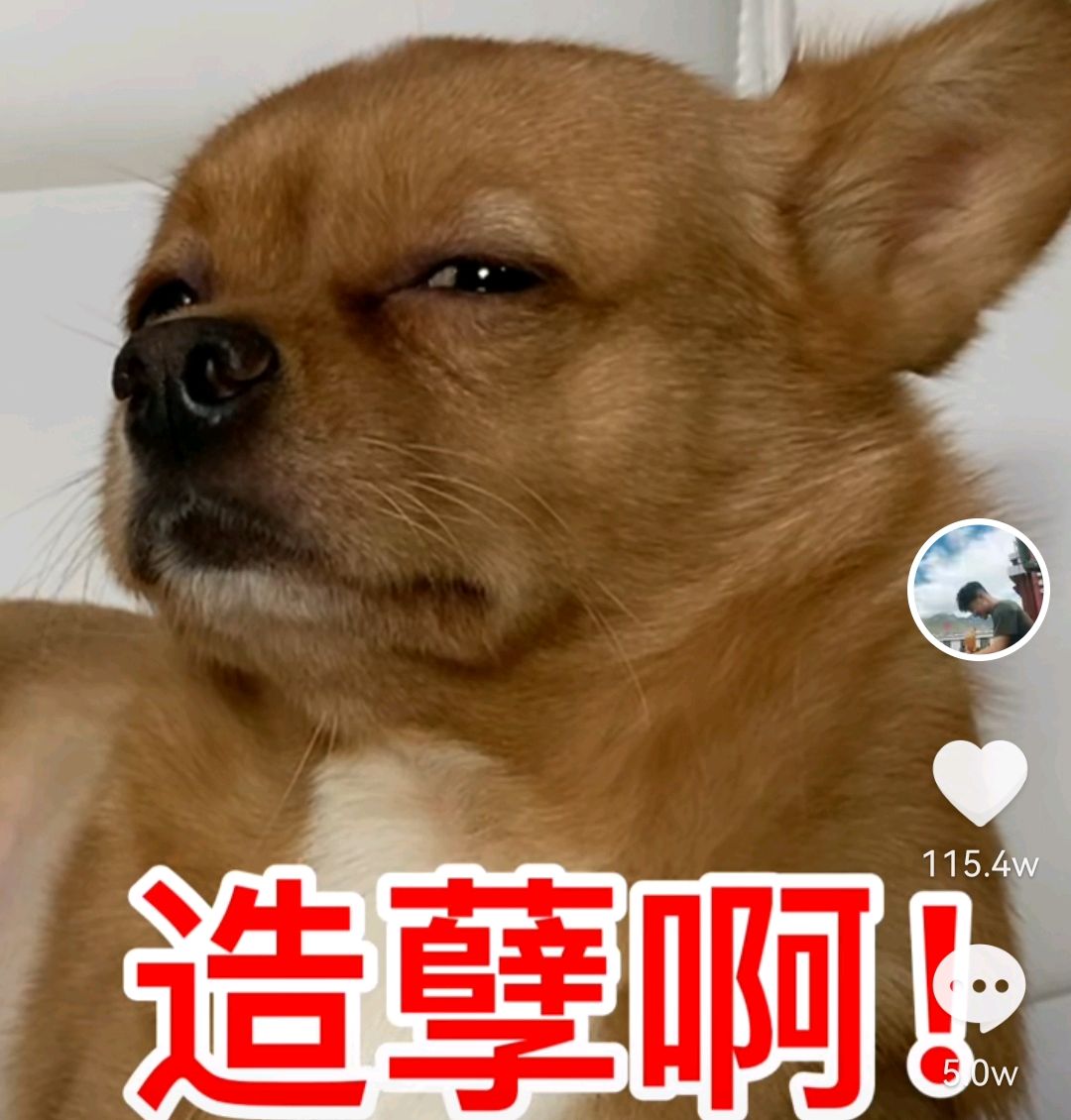 造孽a