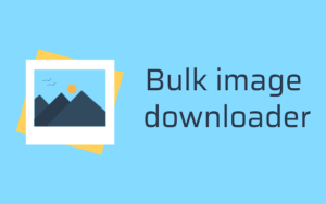 bulk image downloader 轻量级批量下载图片插件