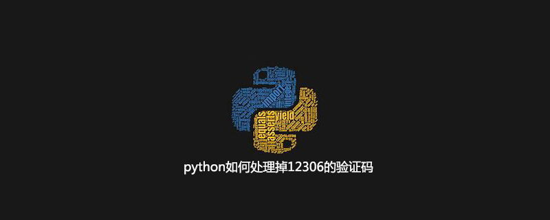 python如何处理12306的验证码