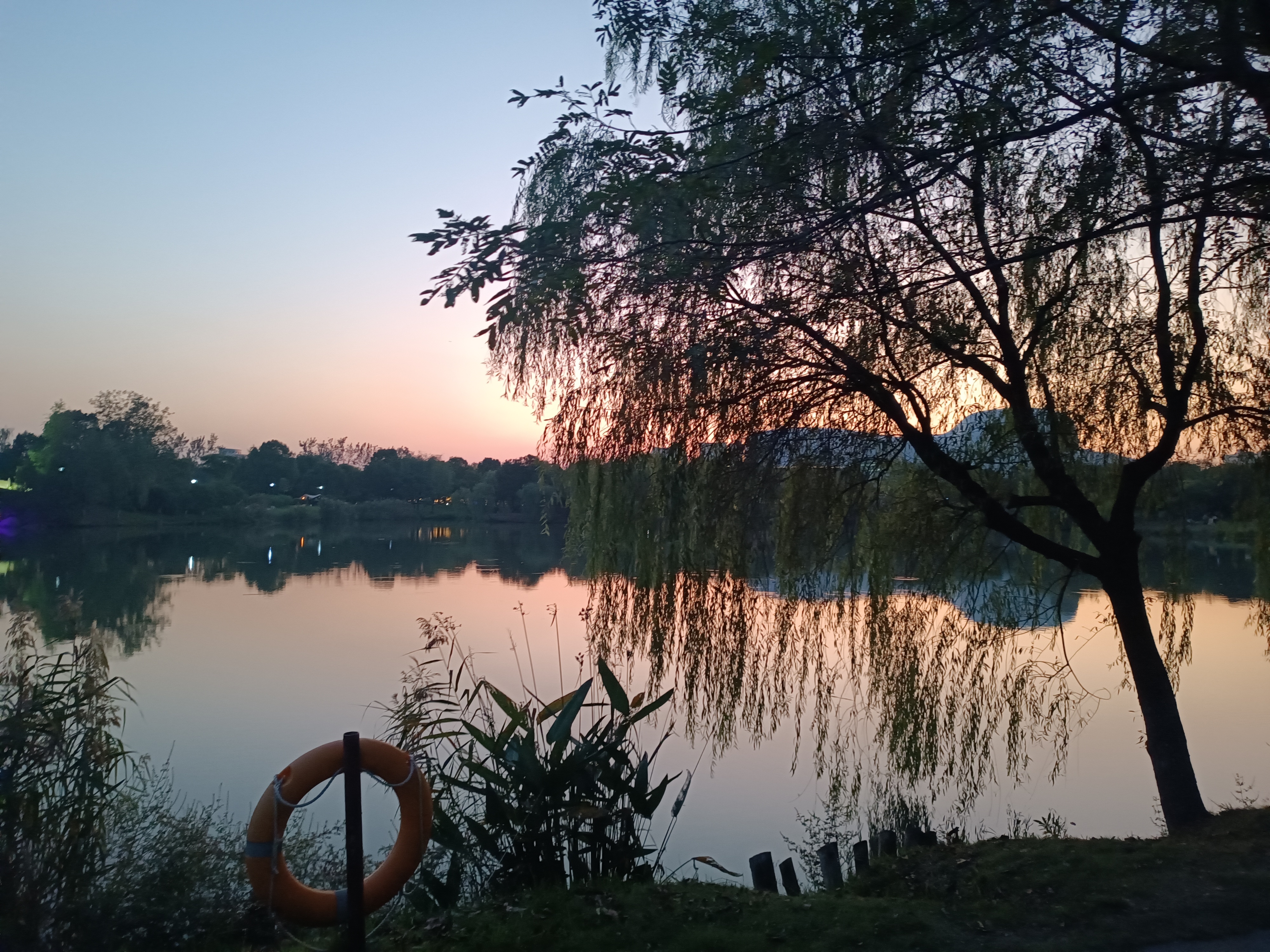 杭州白马湖掠影