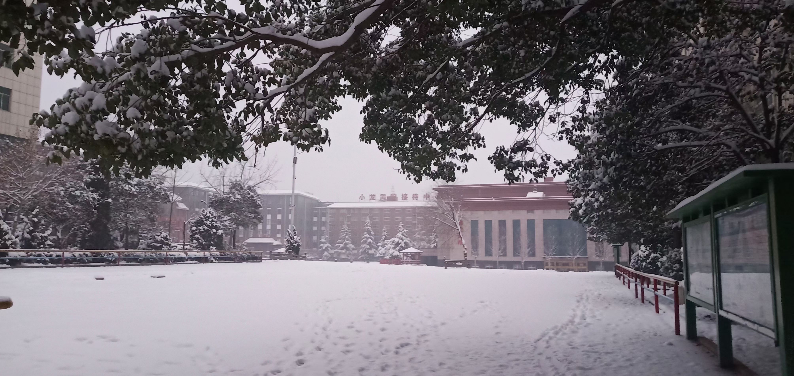 嵩山少林小龍武校雪中美景 嵩山少林小龍武校雪中美景