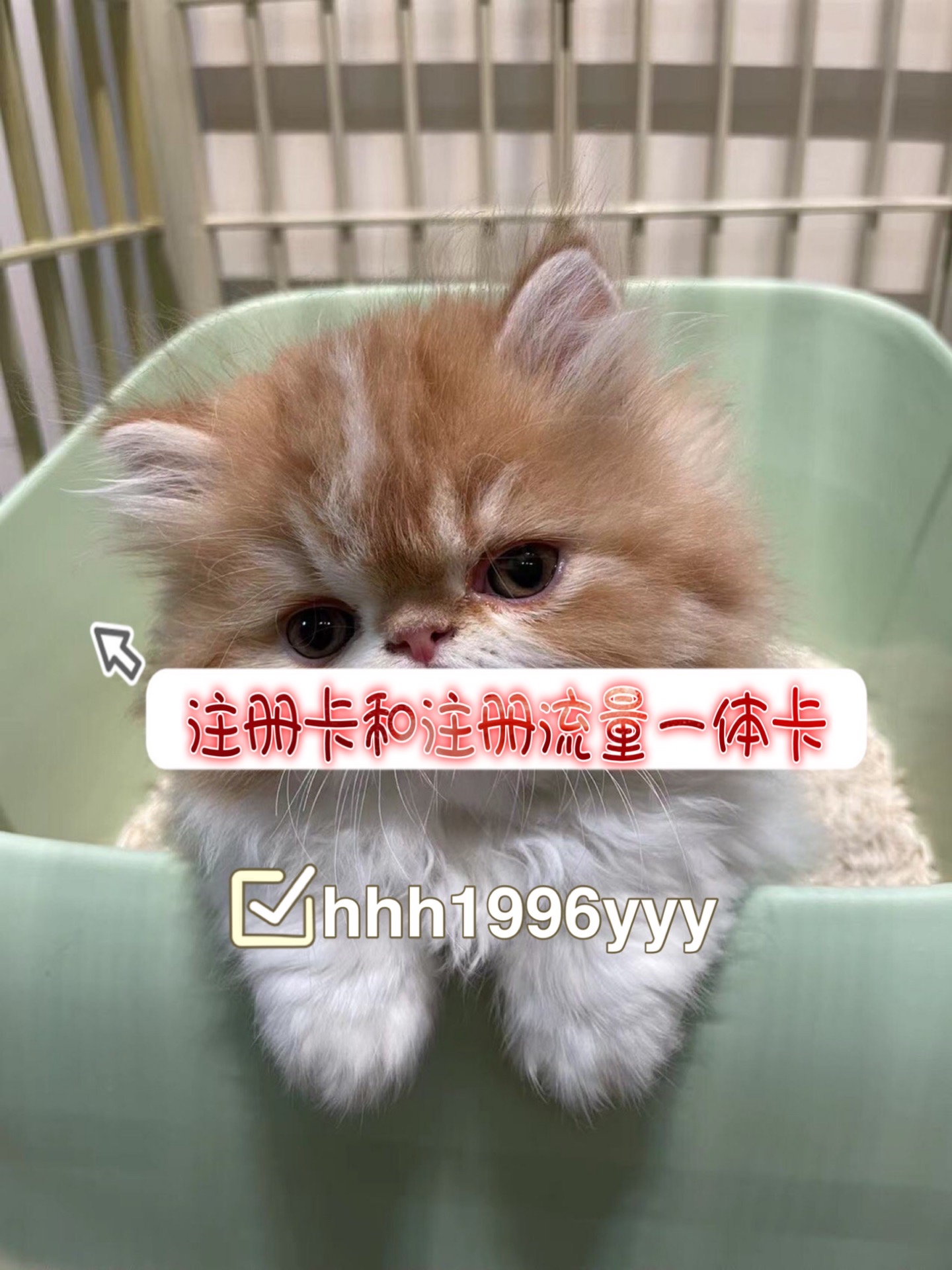 注册卡-批发1到10元