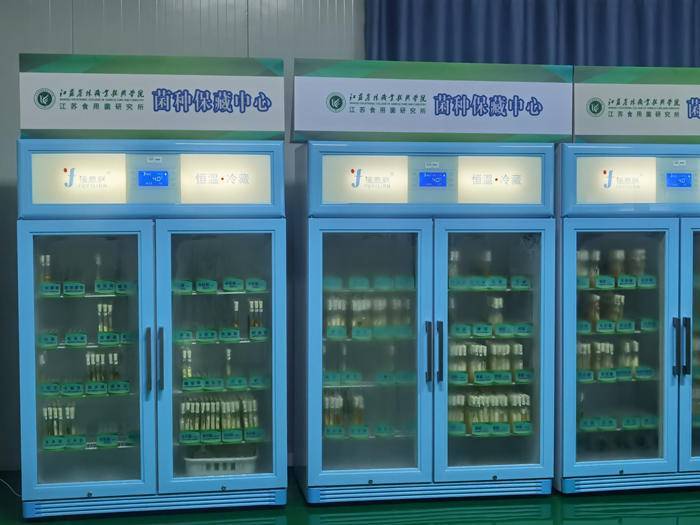 菌种保藏箱4度双锁