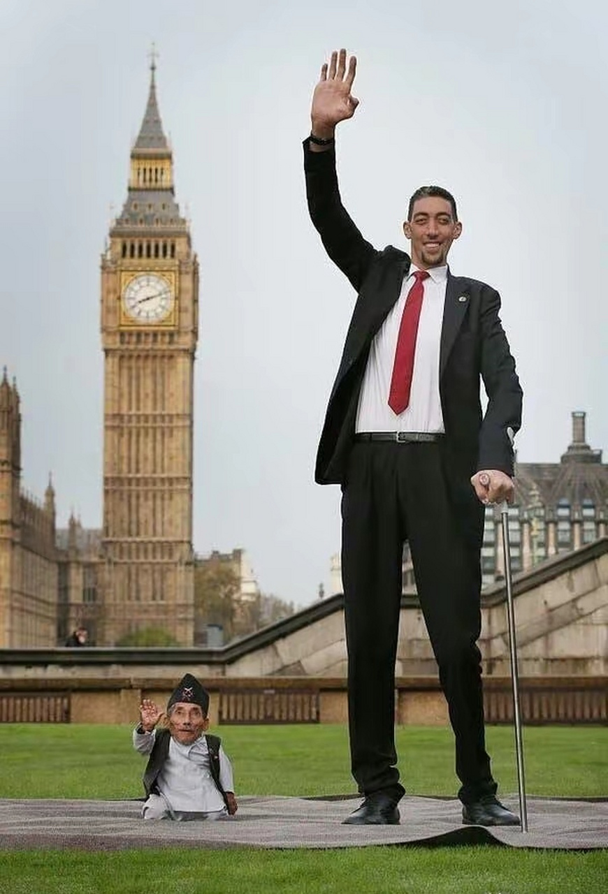 世界最高的人最矮图片