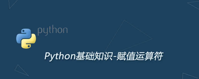 Python 初学者必读的赋值运算符