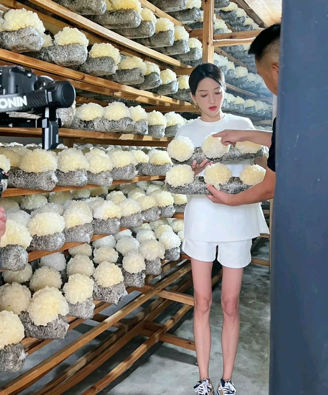 妈呀,央视主持人谢颖颖这个腿,又瘦又直还长,简直不科学,平时光看上身