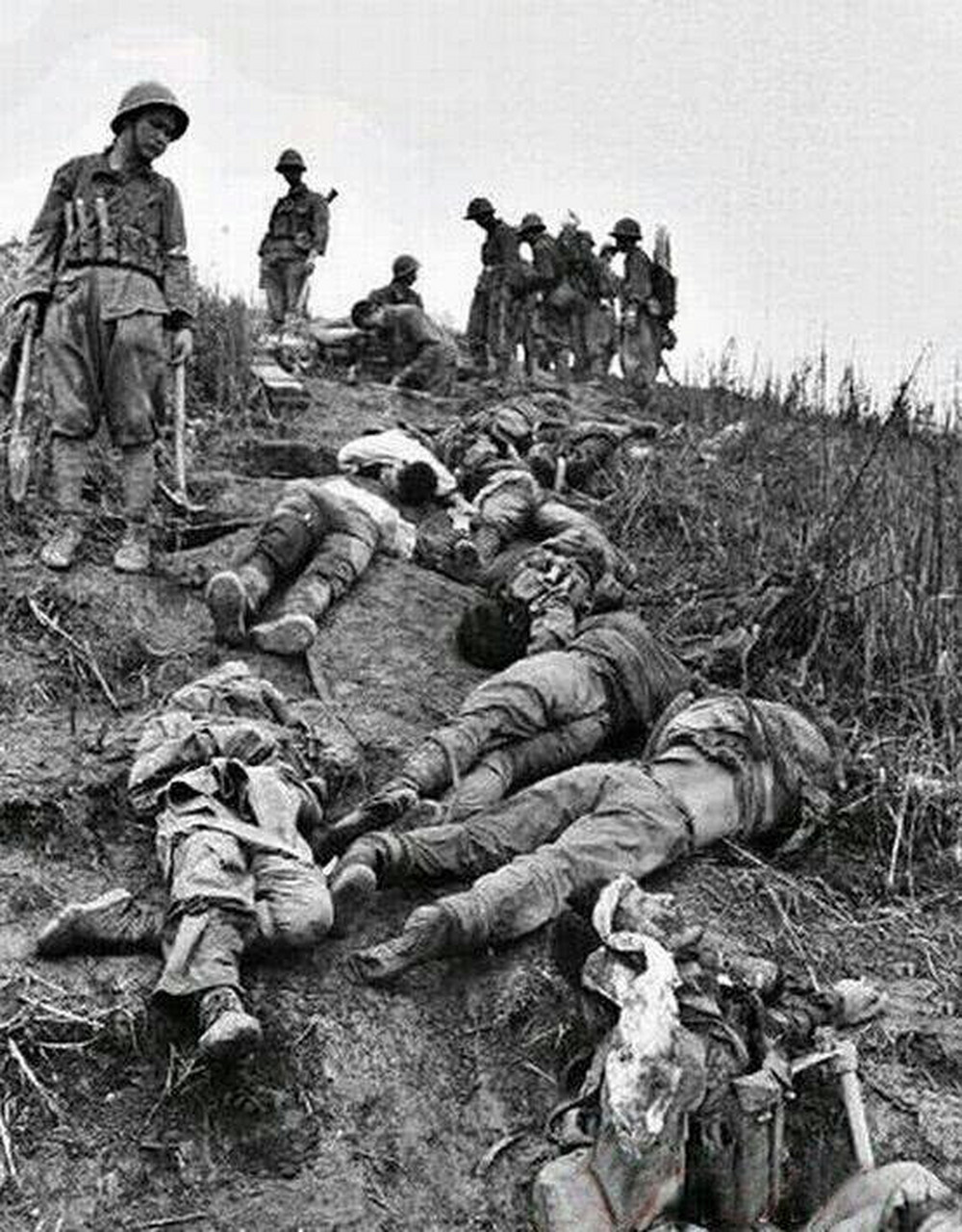 一幅幅悲壮悲壮的画面,让人不忍直视.