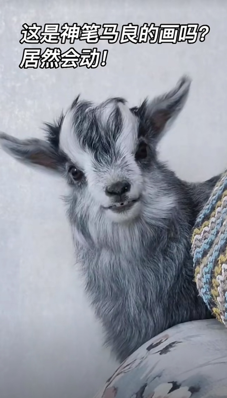 帮我看看,这是真小羊还是水墨画?
