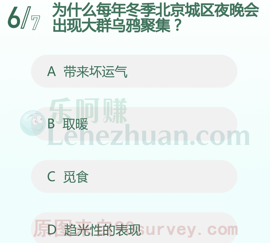 每年冬季北京城区夜晚会大群乌鸦聚集是为了取暖 每年冬季北京城区夜晚会大群乌鸦聚集是为了取暖