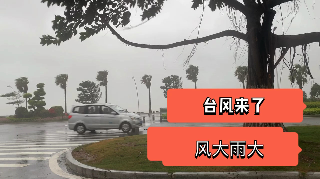台风“米克拉”来厦门了,风雨交加我赶紧收车躲避,太吓人了