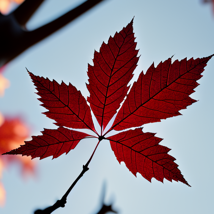 好看别致的高端女生头像 温柔头像 可爱女生头像 美女壁纸 第2期