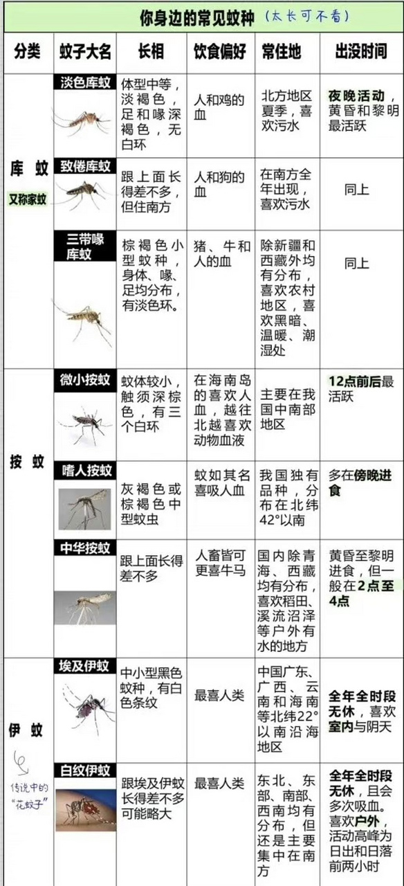 了解一下,身边常见的蚊子种类