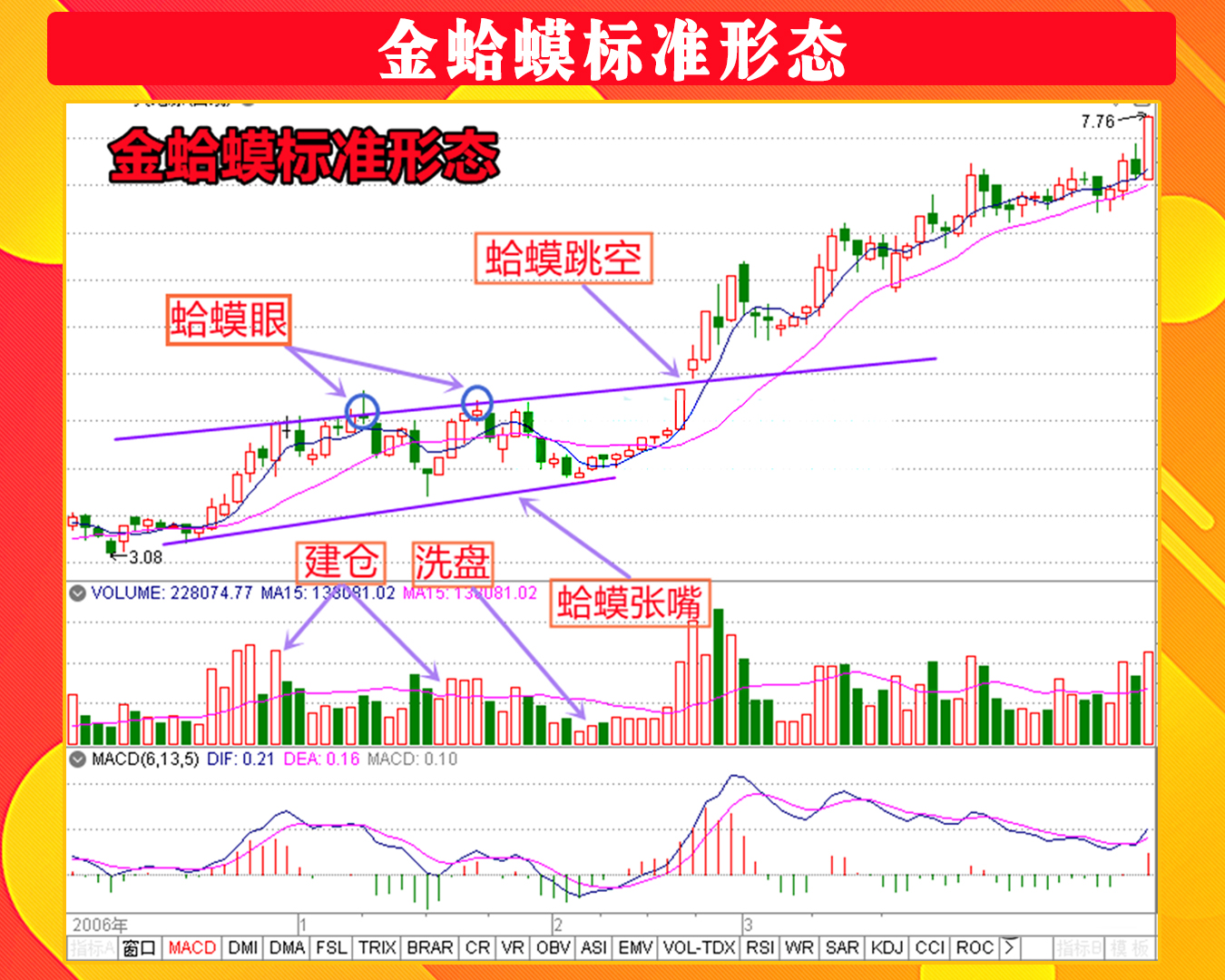 金蛤蟆形态能涨三倍图片