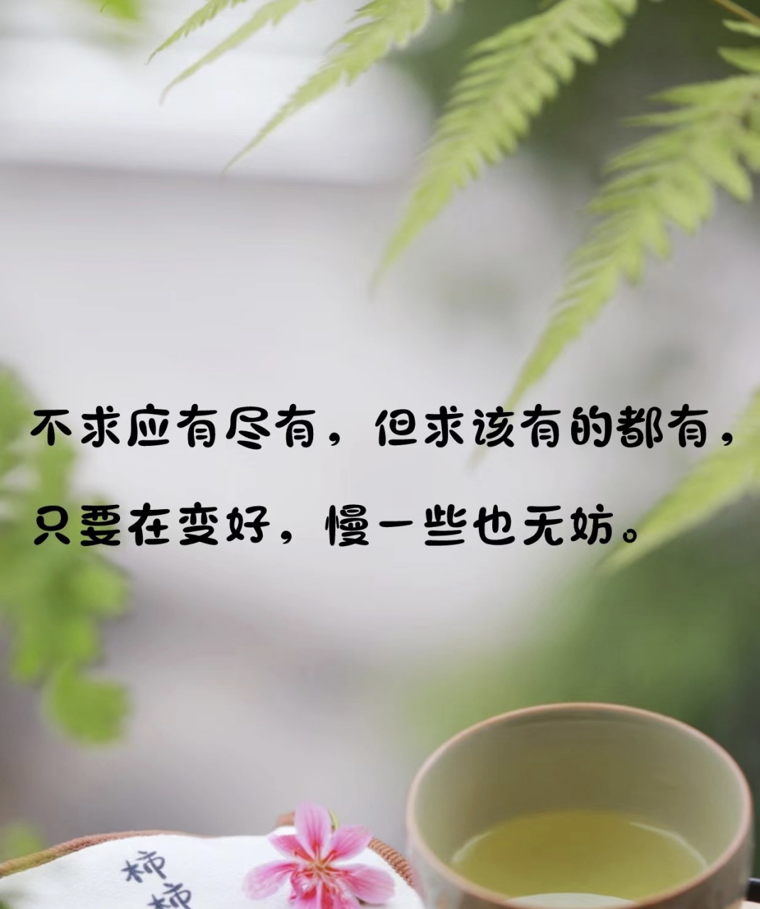 不求应有尽有 但求该有都有 只要在变好 慢一些也无妨