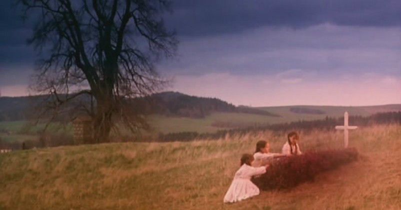 野花:捷克高分冷门暗黑童话电影