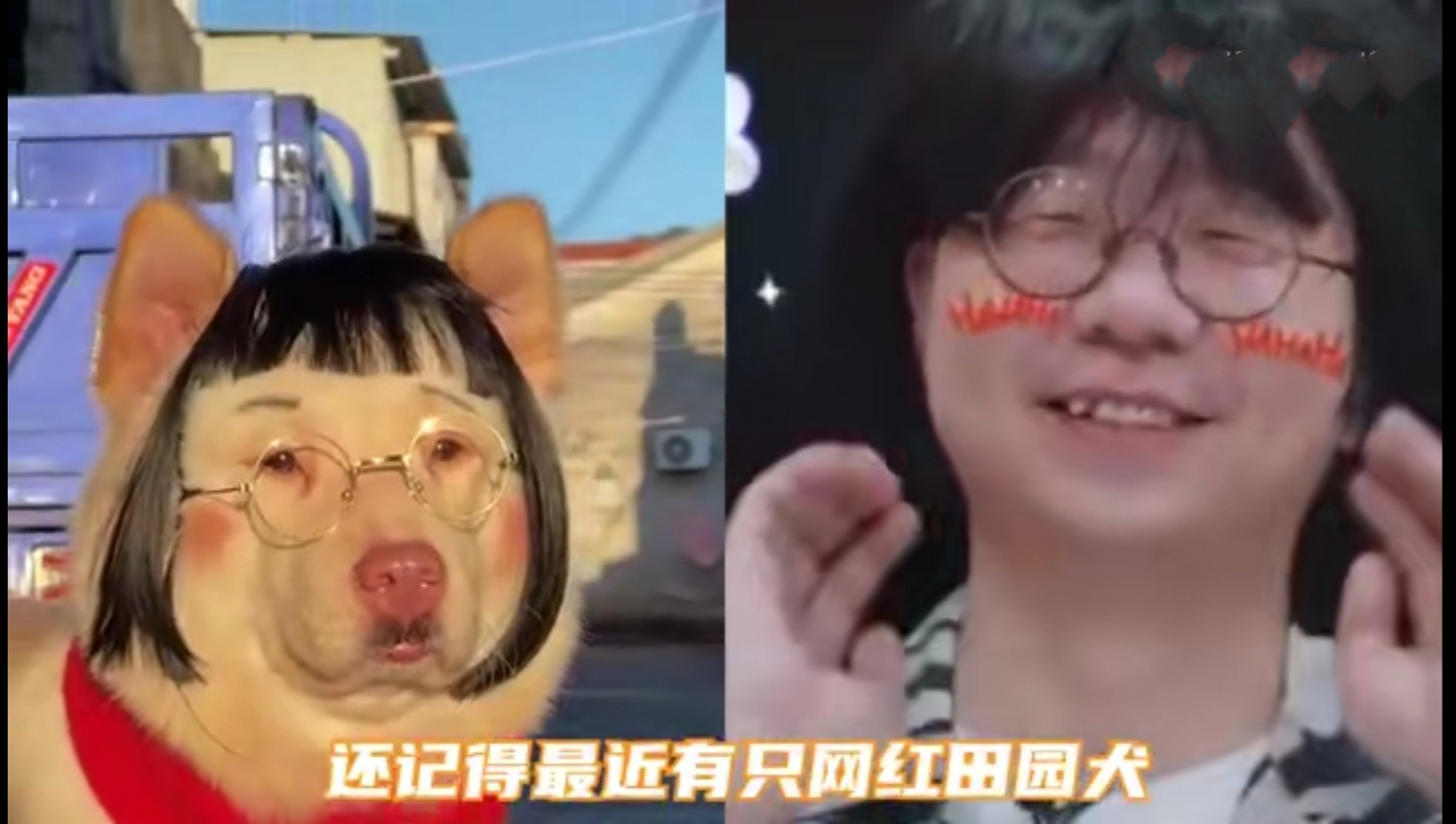 阚犇犇和李诞对比照图片