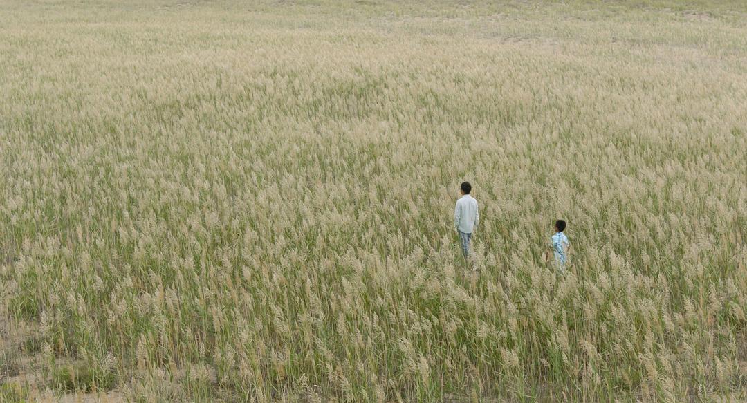 《百川东到海》的全部图片剧照