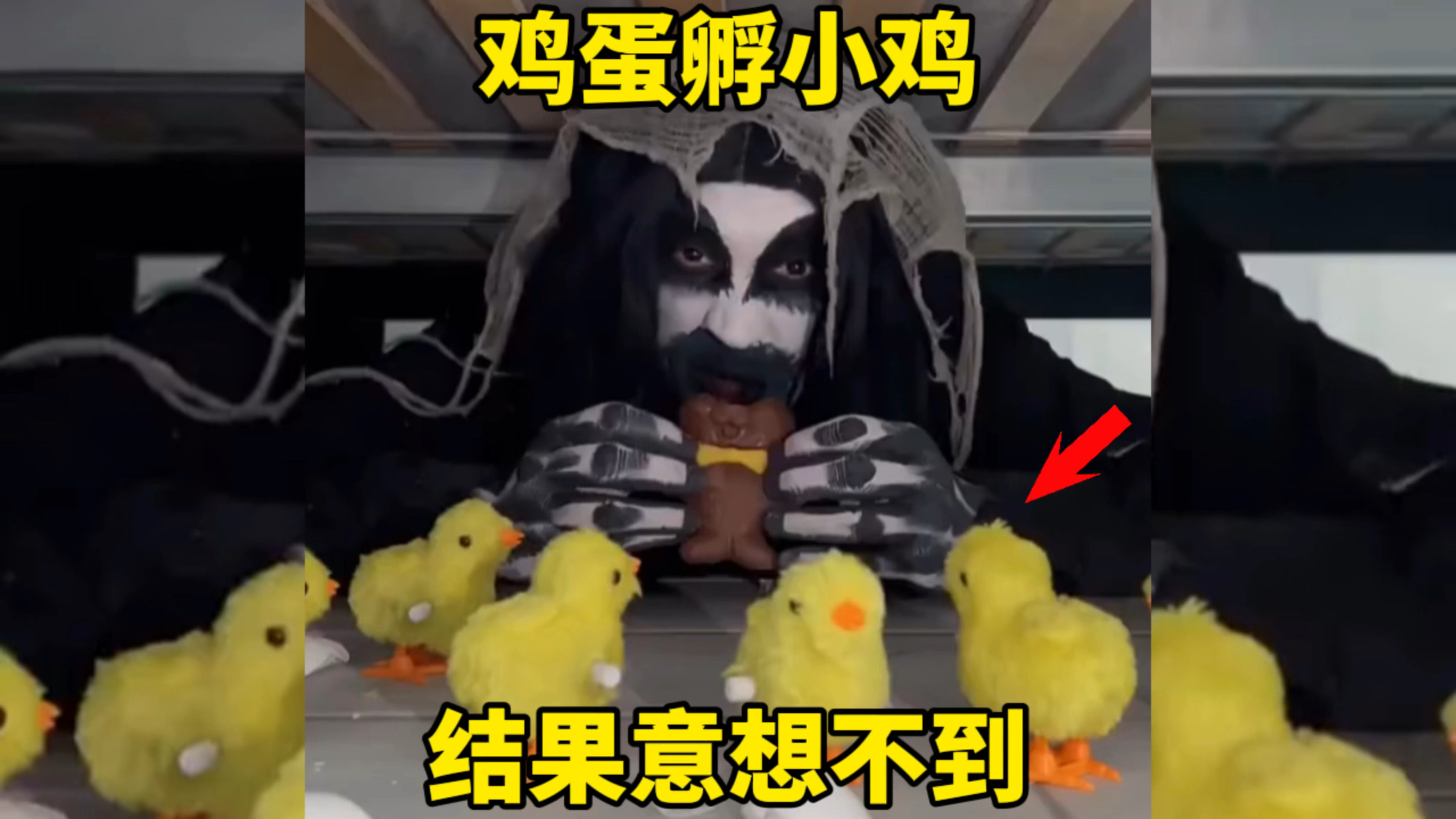 鸡蛋孵小鸡,结果意想不到