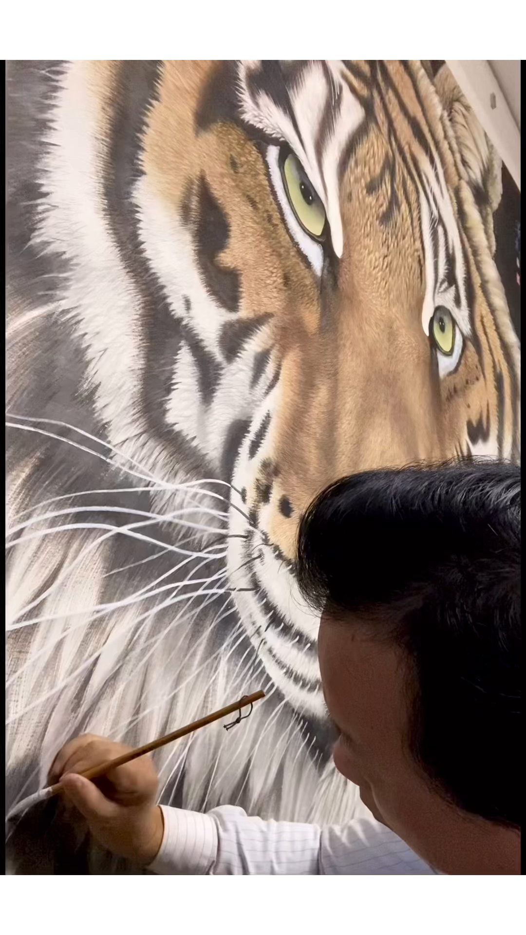 画虎名家秦洪彬先生画虎迎虎年-度小视