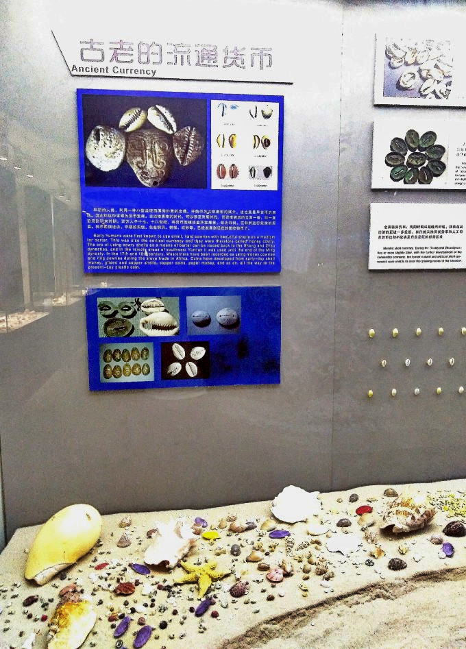 蛇口海洋博物馆