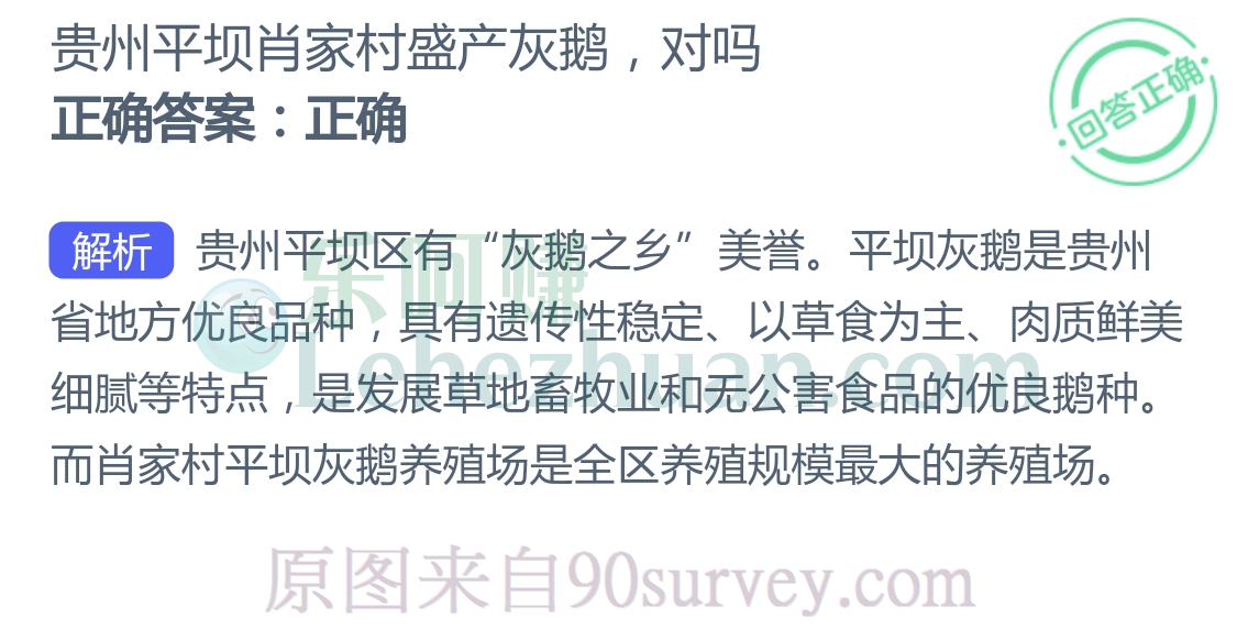 贵州平坝肖家村盛产灰鹅