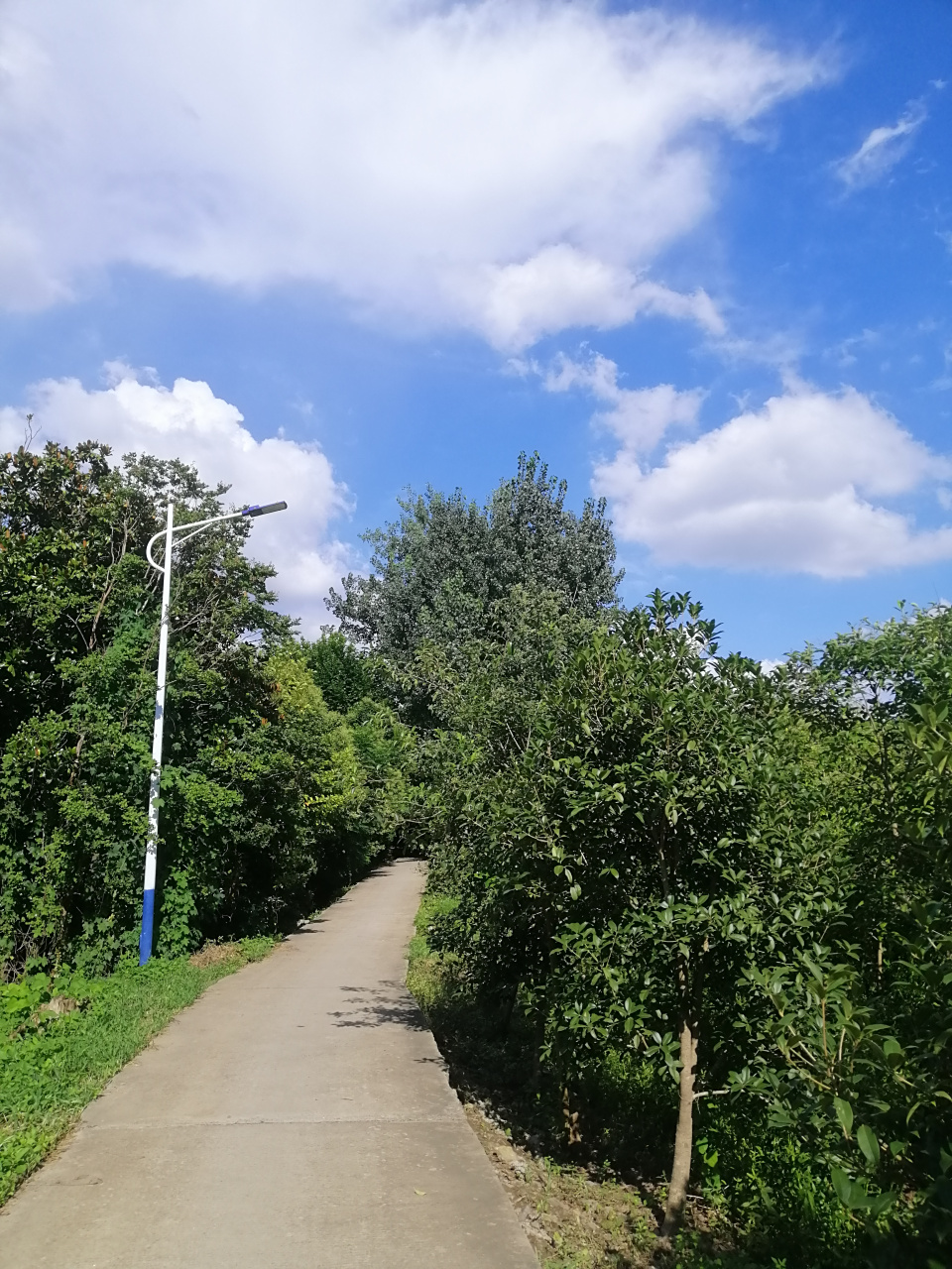 蓝蓝的天空上,云山云海  坐标南京  我昨天拍的照片,分享一下