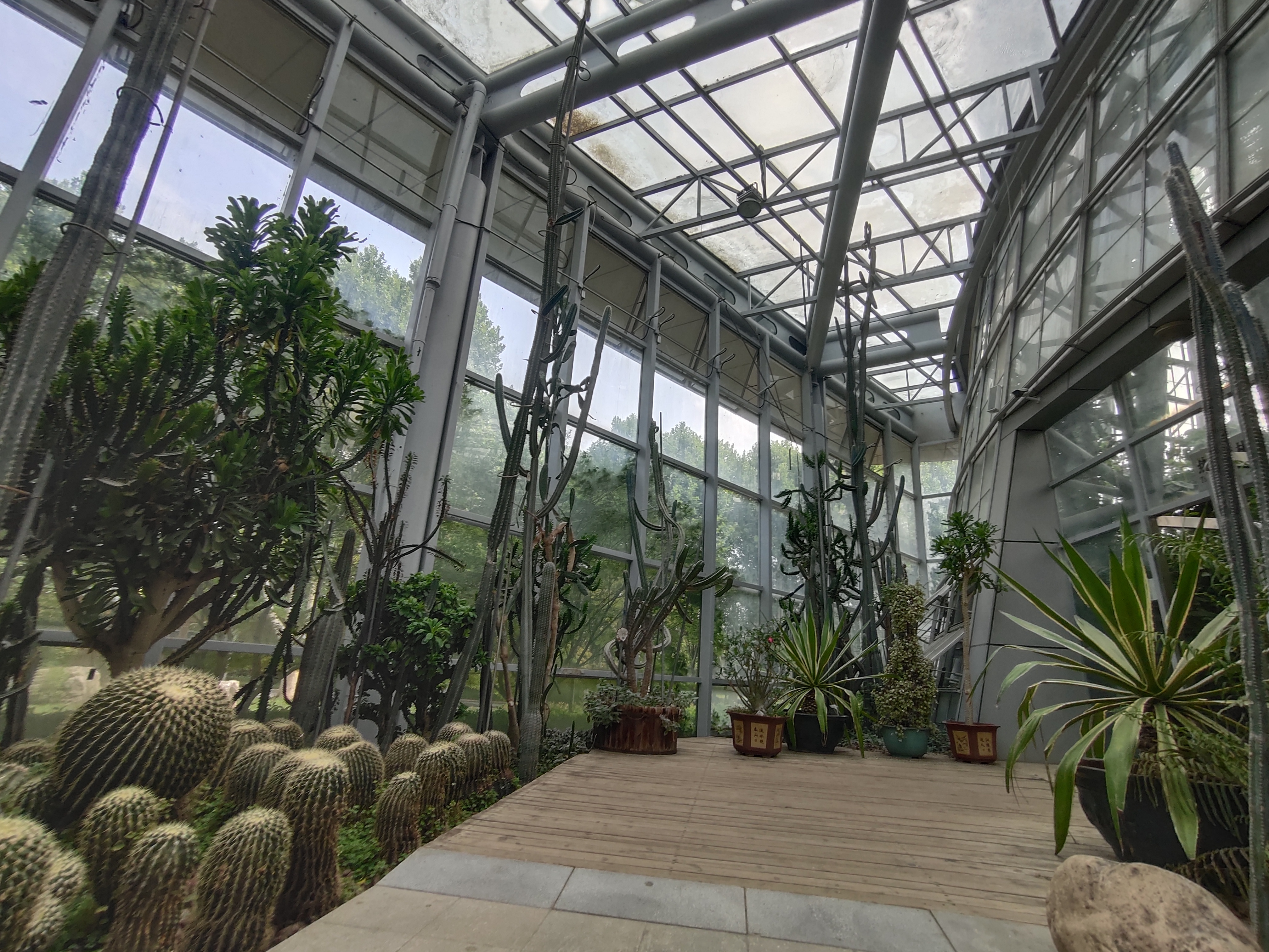 廊坊热带雨林植物园图片