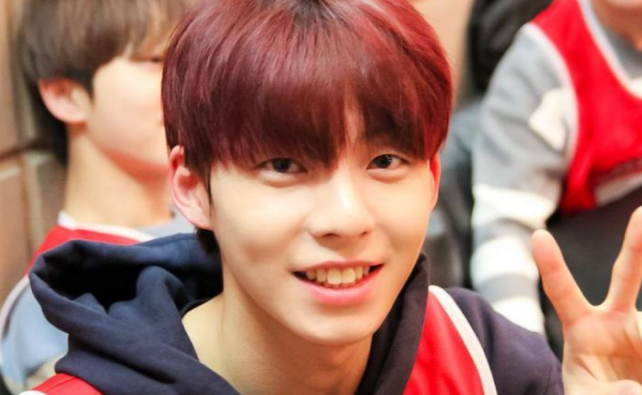 mixnine最终出道成员