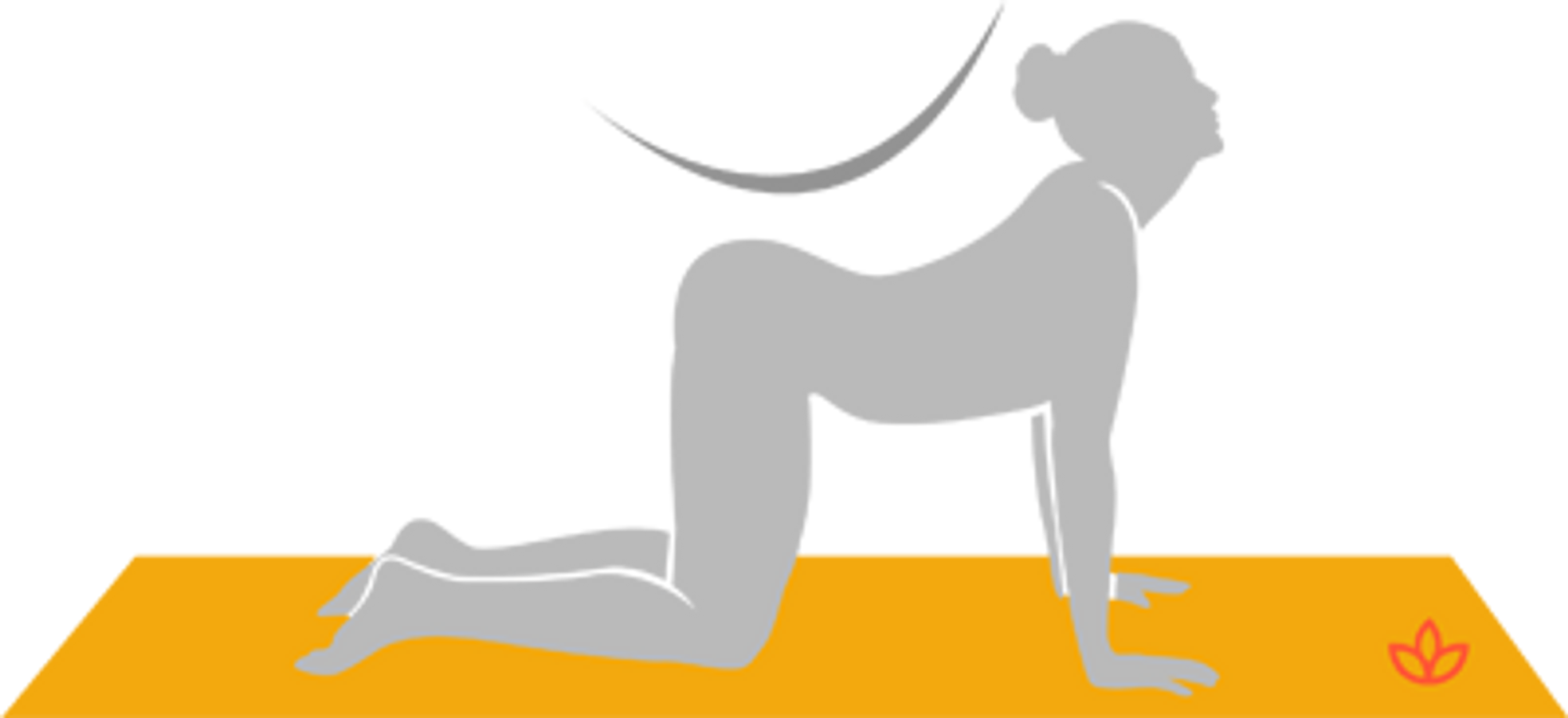 瑜伽猫牛式的好处