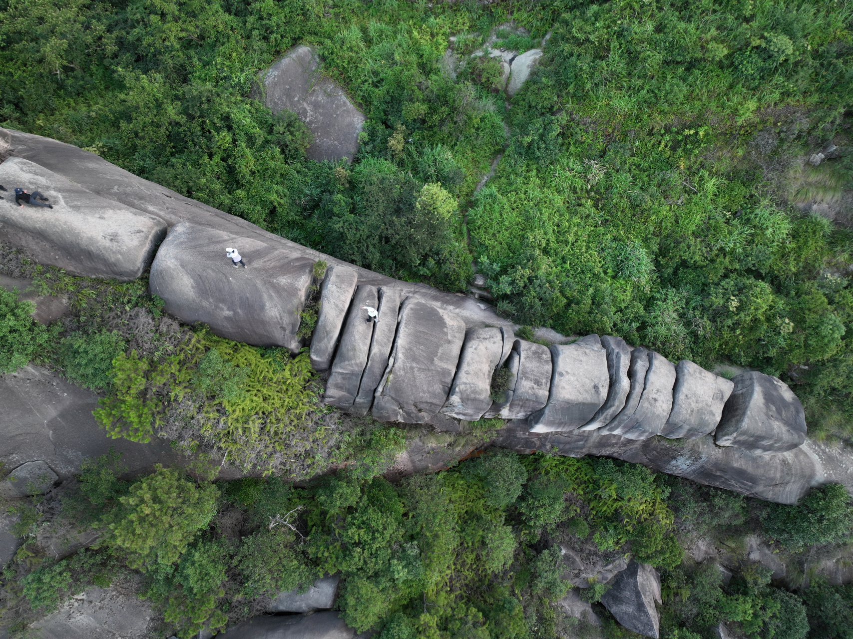 温州大罗山中,藏着一条巨龙的龙脊,距今有上亿年的历史.