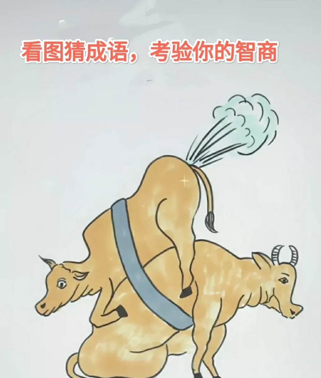 看图猜成语.