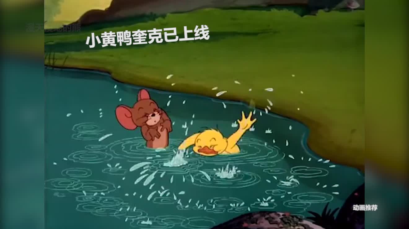 猫和老鼠搞笑动画:你们要小黄鸭奎克Quacker已上线