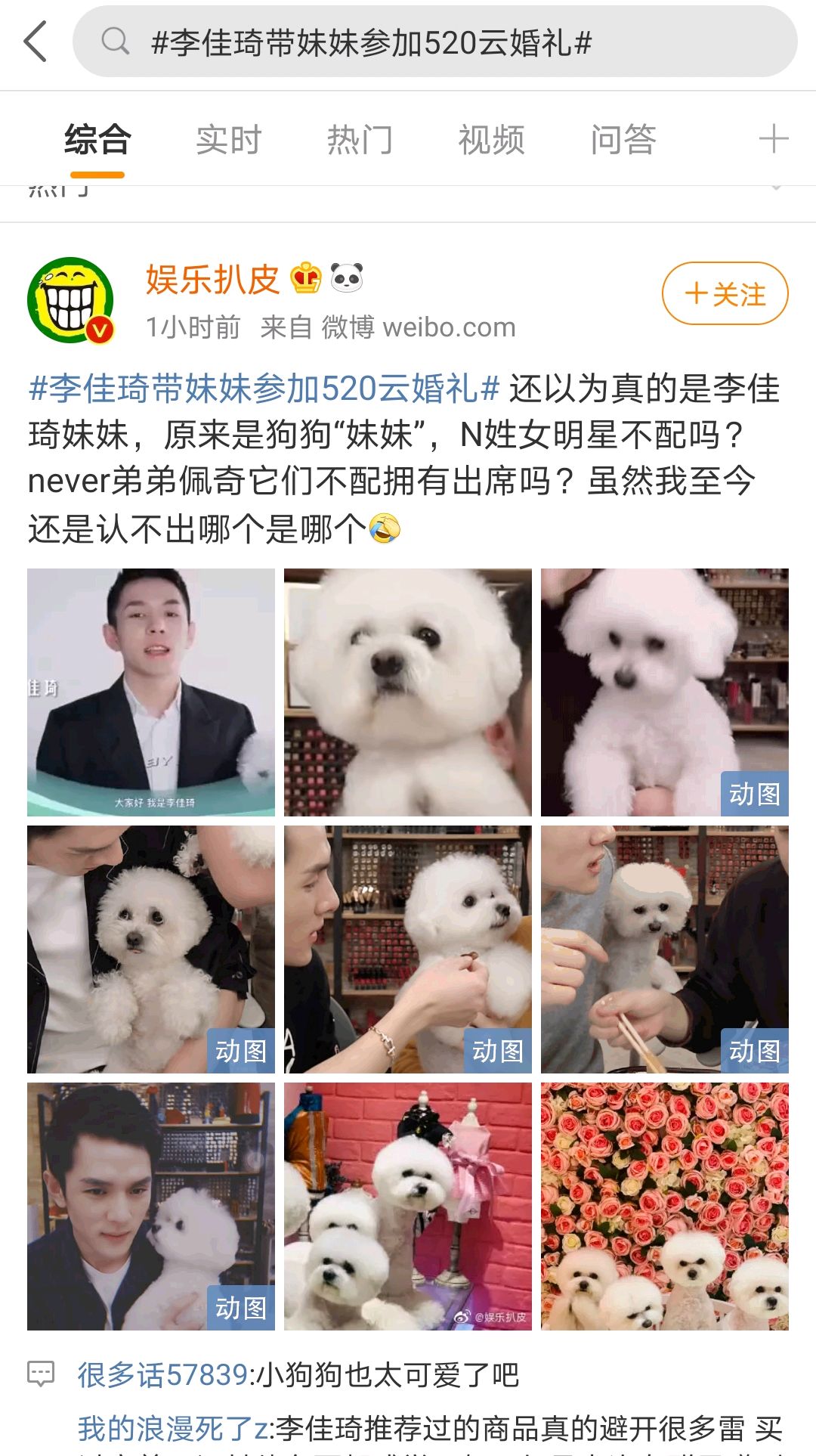 李佳琦和"狗妹妹"又上热搜.小助理,却不知所踪,你怎么看呢?