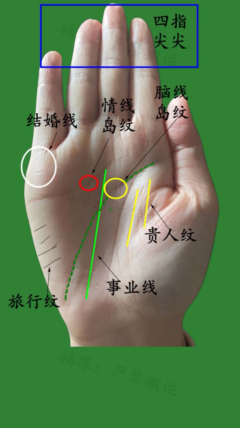 贵人多的手相!# 知识创作人