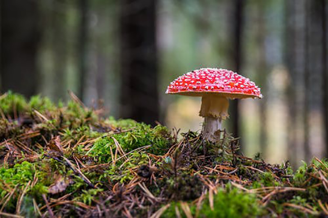 写给长辈的一封信（向长辈致敬——给您的一封信）