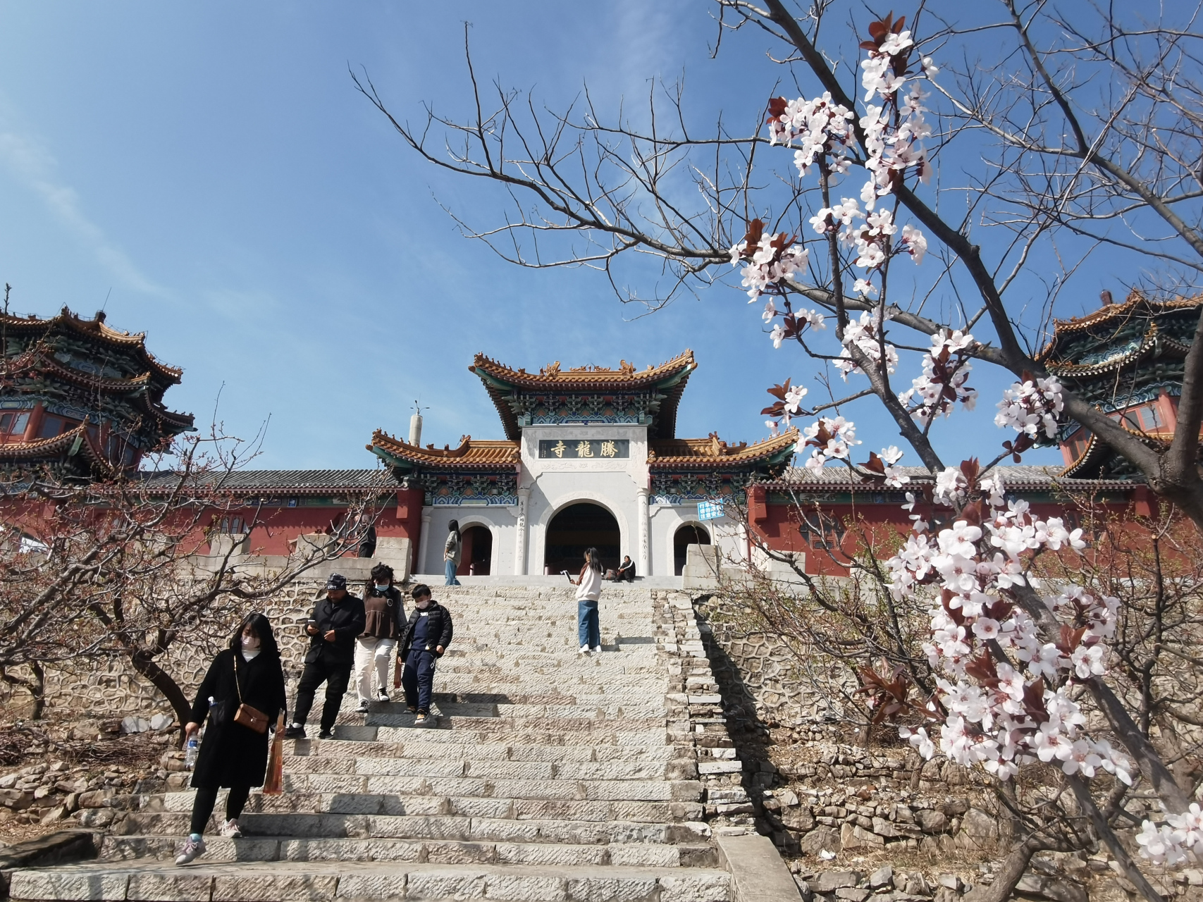 唐山遵化卧龙山踏青赏春#河北赏花季# 卧龙山越来越好,正在新建中,山