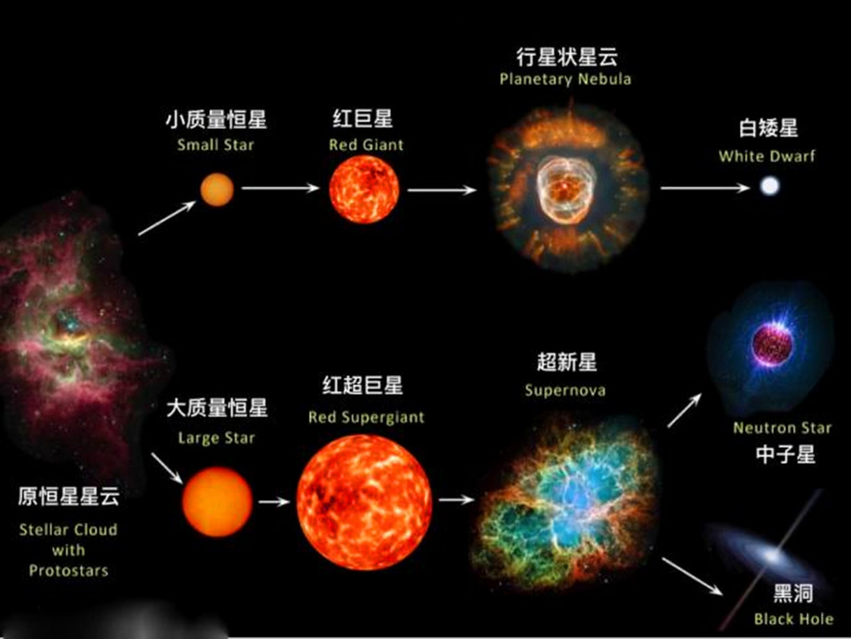 蓝超巨星和红巨星谁大图片