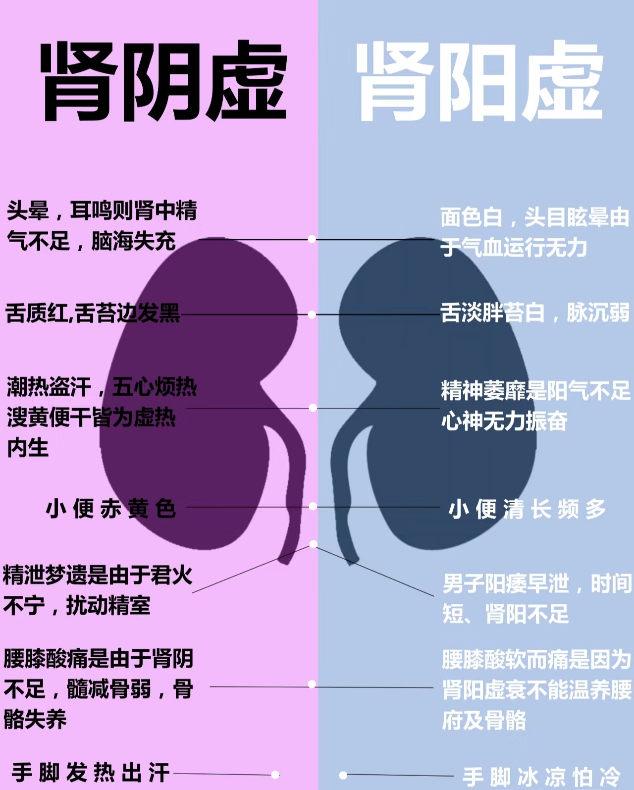 肾阴虚or肾阳虚?  一张图了解肾虚的七种原因.