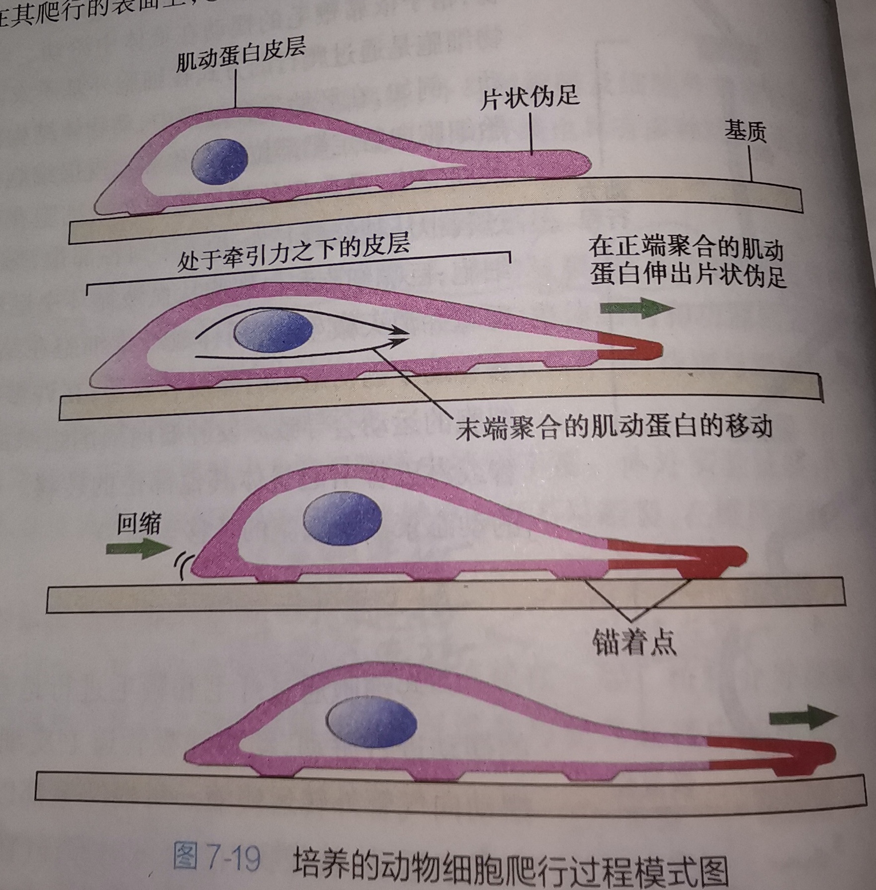小知识学点小知识