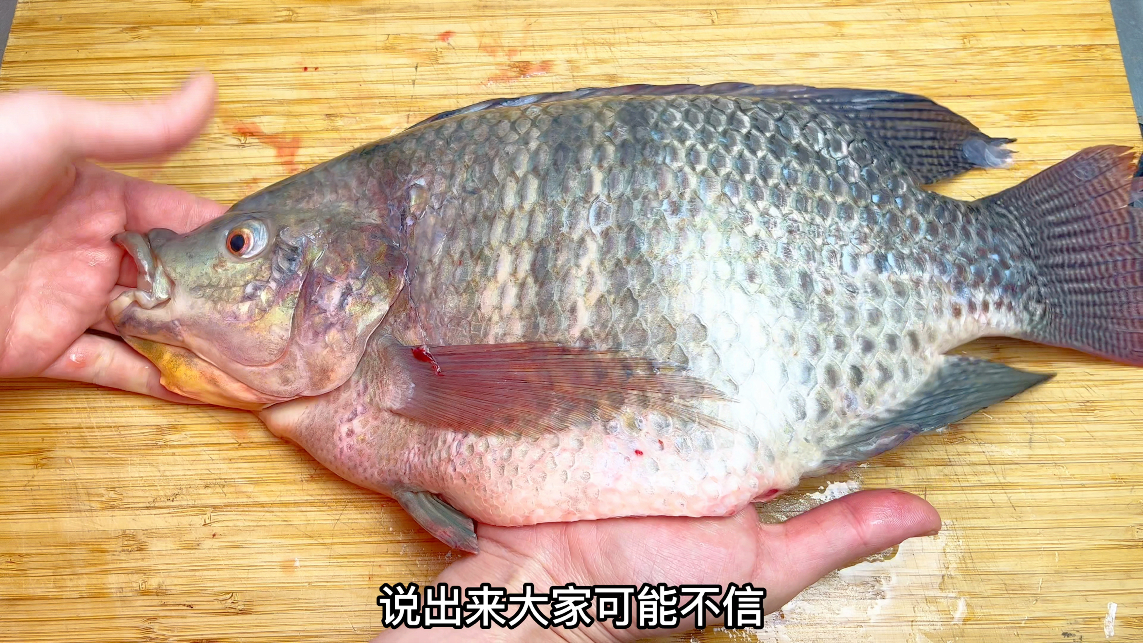 20块买半条罗非鱼,做一道网上很火“蒜香炒鱼片”,鲜嫩不腥