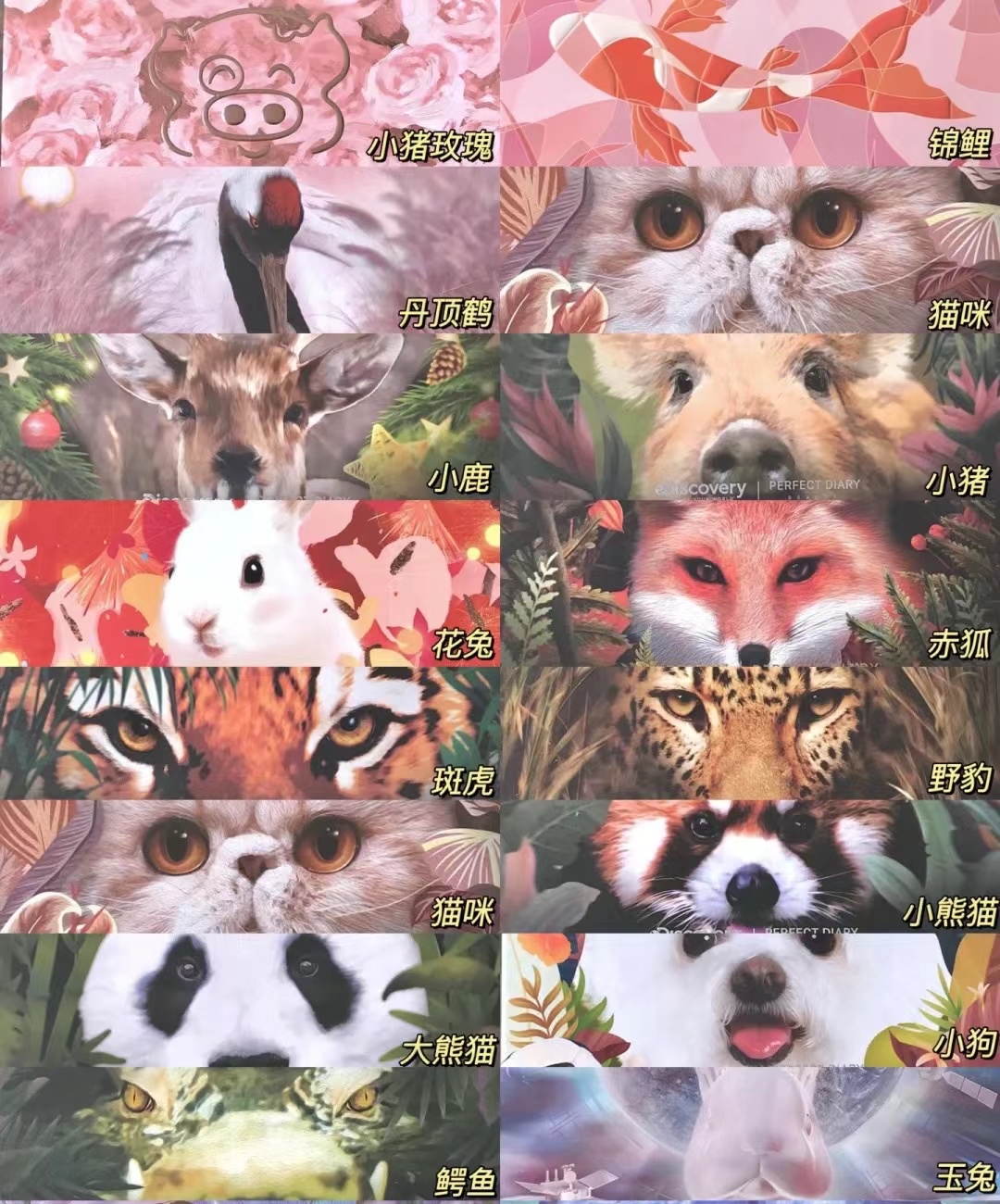 完美日记动物盘系列推荐