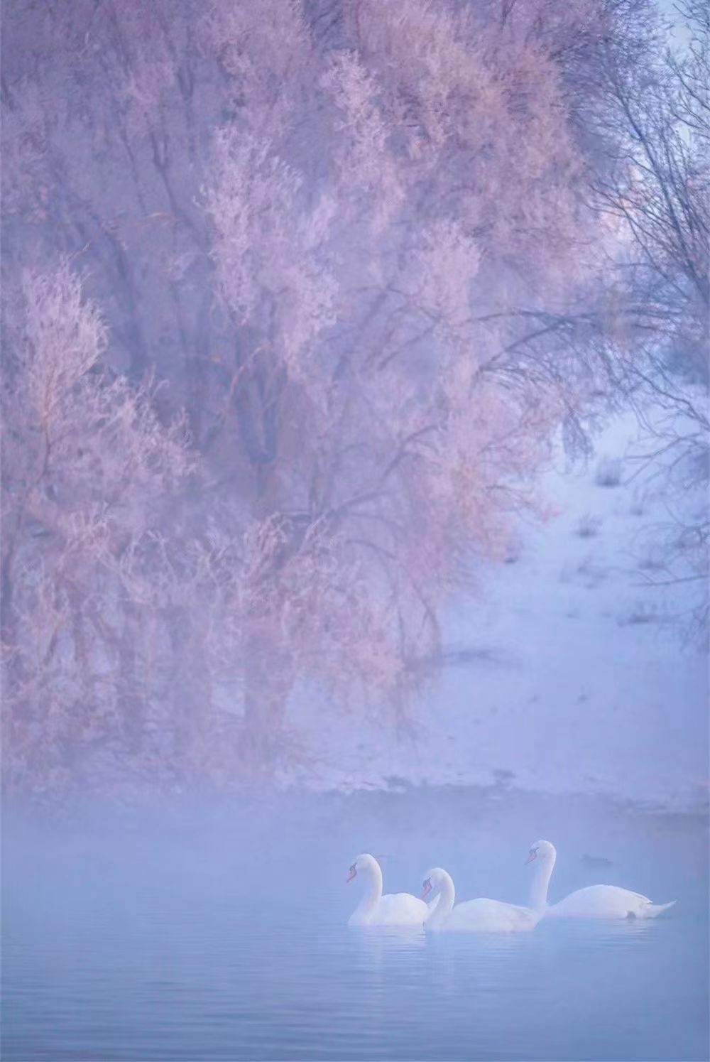 9月28号开播!河南高二青桐鸣联考解析