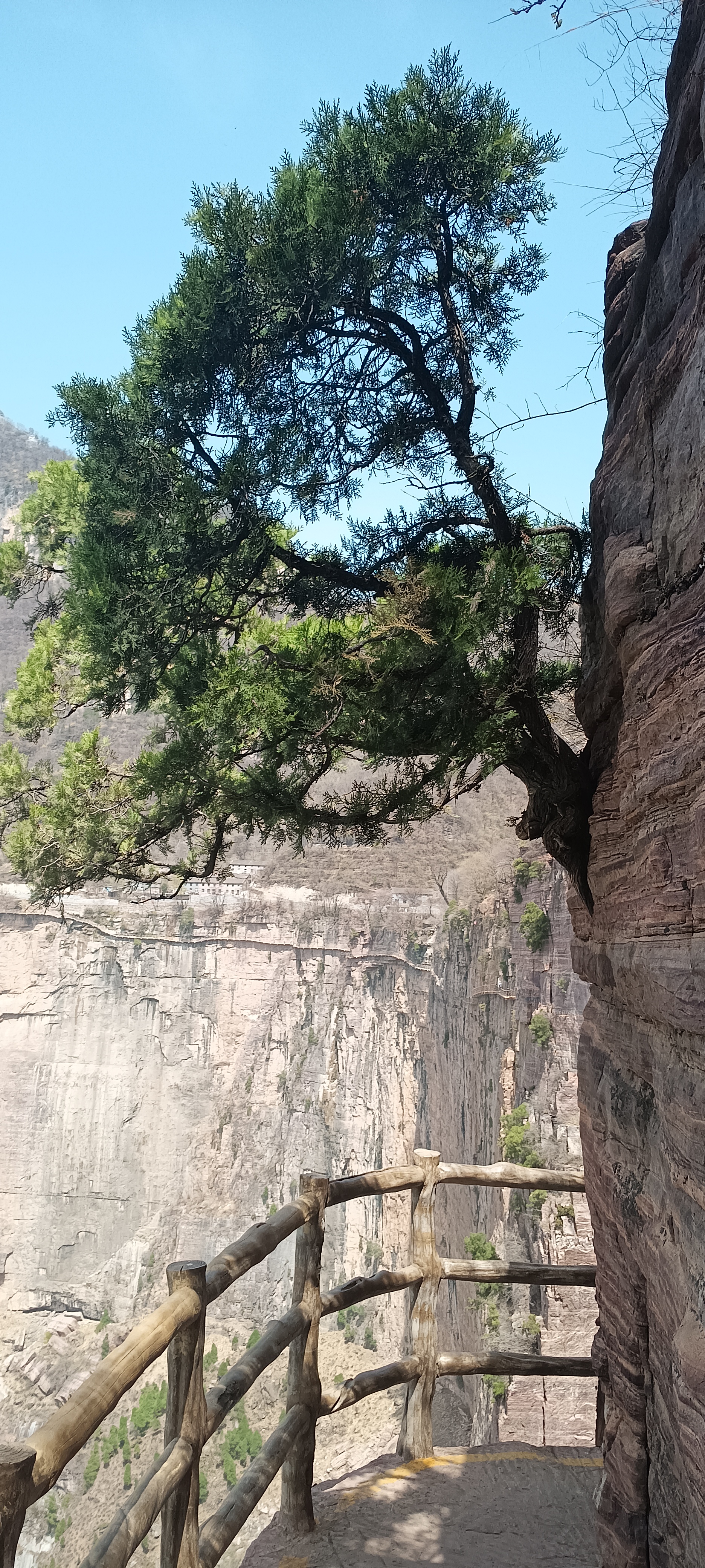 在辉县八里沟景区观赏天界山风景