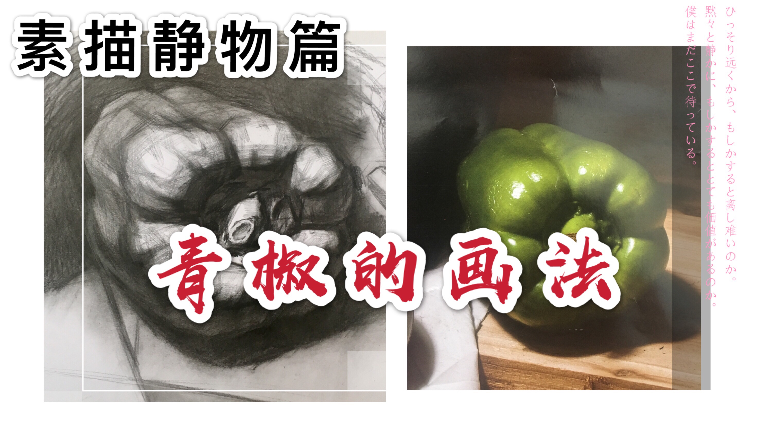 美术专业讲堂之素描静物教学示范篇《青椒的画法》刻画好生动形象
