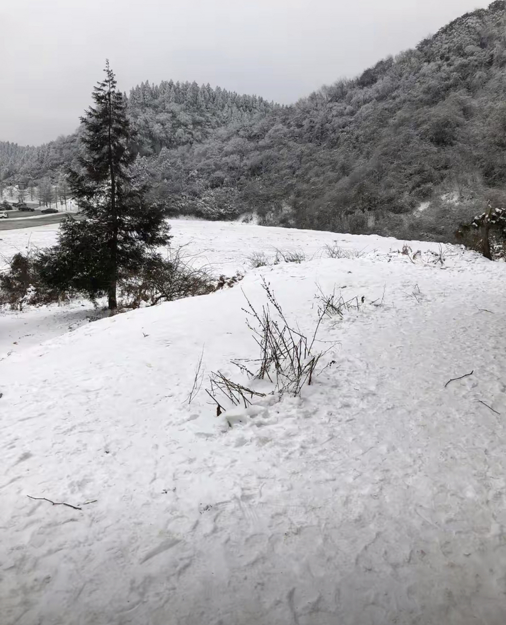 仙女山下雪的图片图片