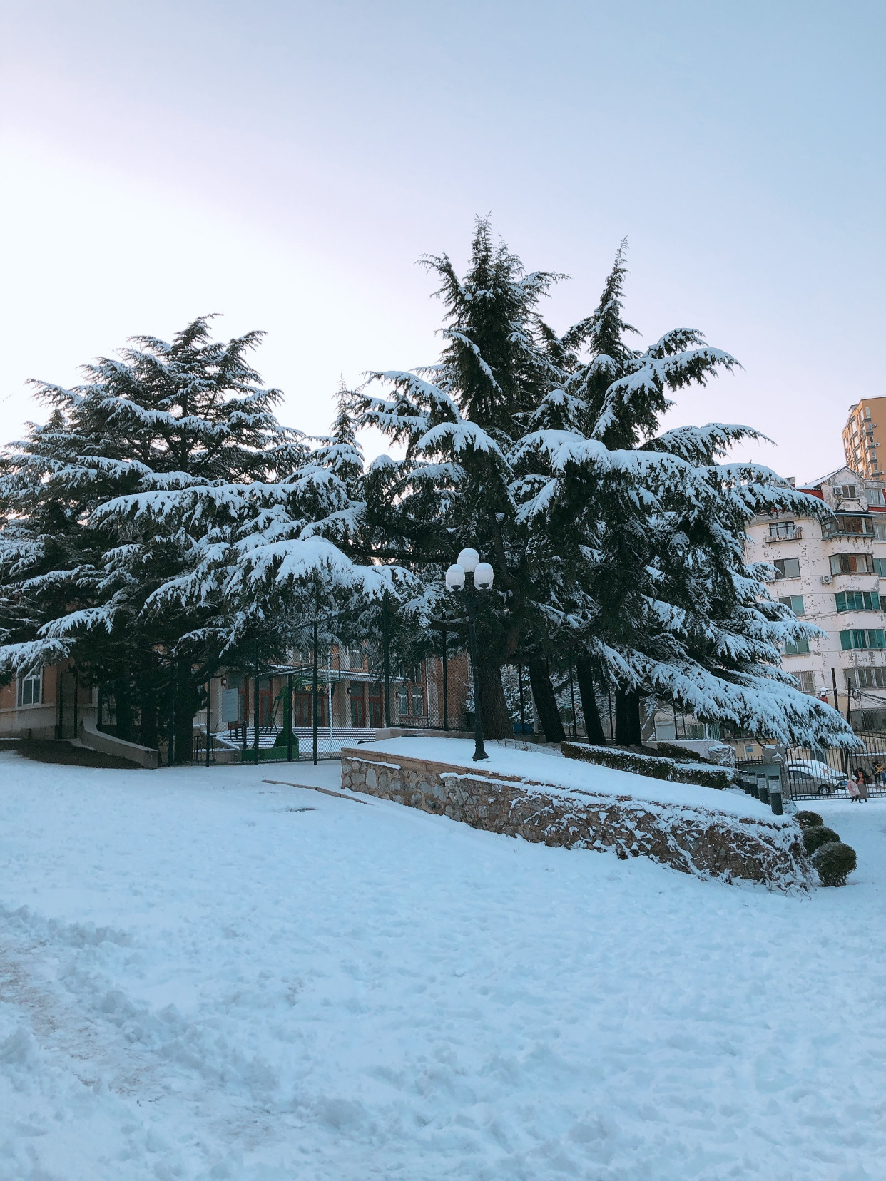 一场大雪过后,大连仿佛进入了童话世界美极了