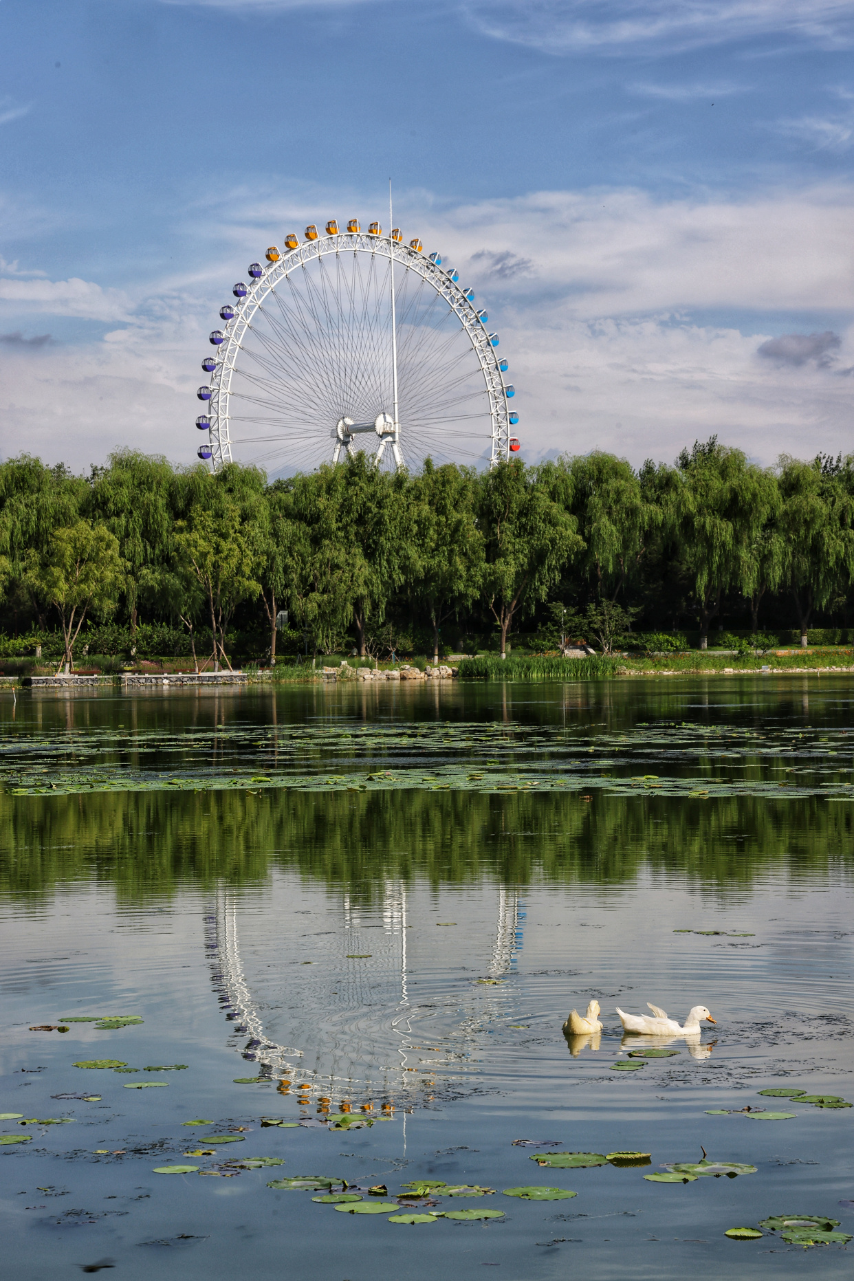 北京龙潭湖公园景点图片